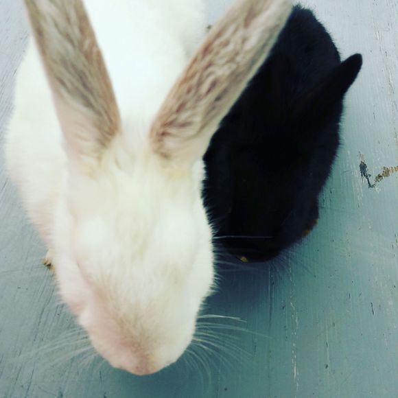 Meet your Posher, Beth - Picture 1 of 1